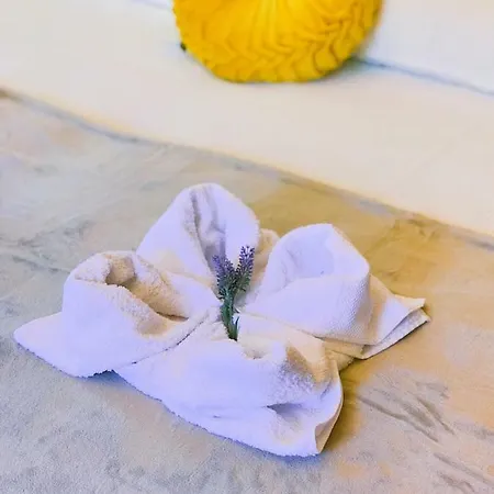 A Casa Da Botica Samos